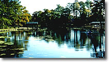 trentwoodslage.gif (48723 bytes)